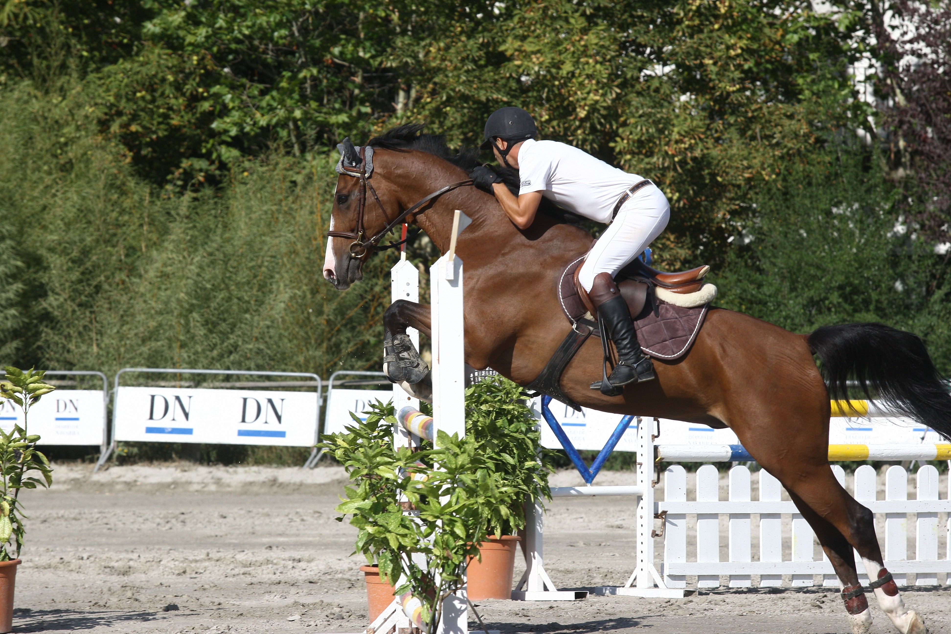 XXIII. CSN** San Fermin Memorial Teresa Moreno Adjuntamos notas de prensa diarias, fotos y resultados del concurso
